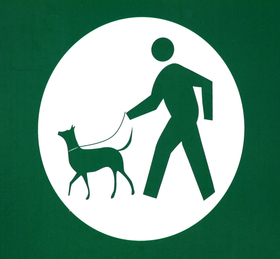 Dog leash laws