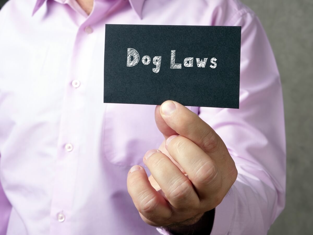 Dog leash laws
