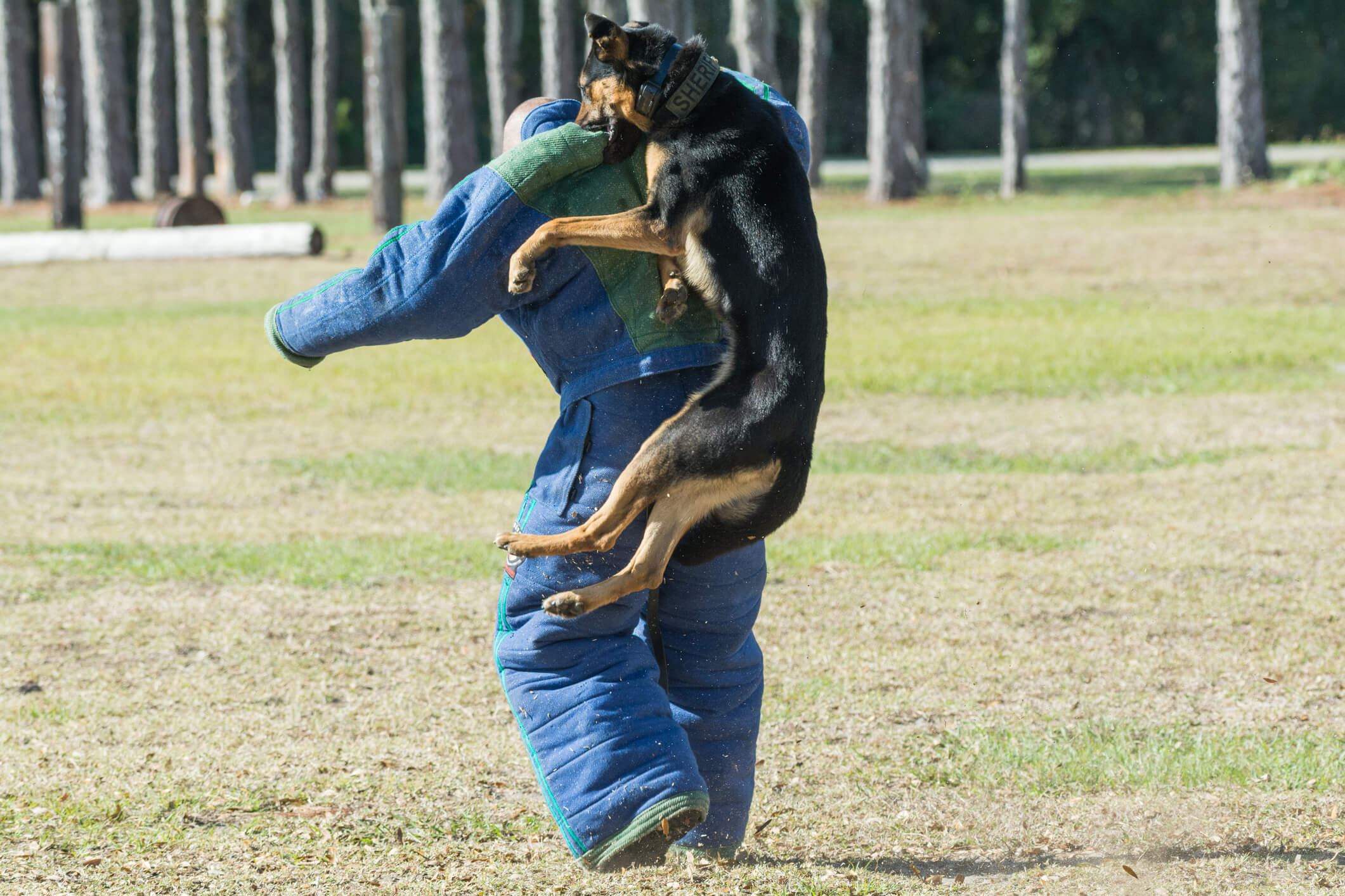 Dog Bite Attorney Las Vegas NV